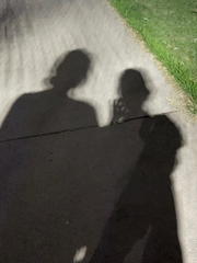 버드나무의 시작