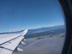 다시 한번 날게 하소서