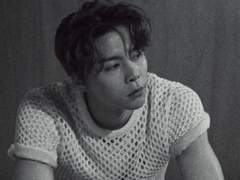 여왕벌 가이드 +++