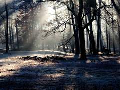 정도평호/ 1984년 10월 上