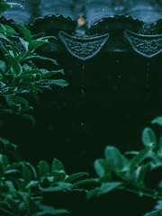 피를 머금은 혀로