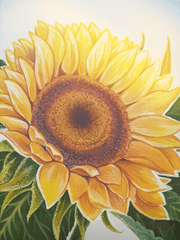 NaDa의 창작물 덕질 정리함