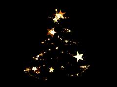 별이 빛나는 곳에 블루벨과