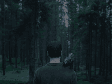 회색 눈의 소년