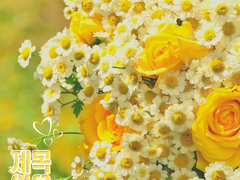 [백렌/백기] 제목없음 上