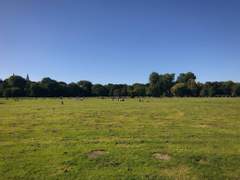 기억이 머무를 구간이 있다는 건 좋은 거야