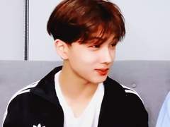 누나도 늑대예요?