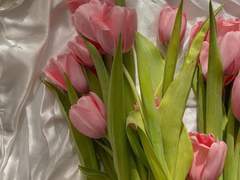 내게 사랑을 알려준 당신에게