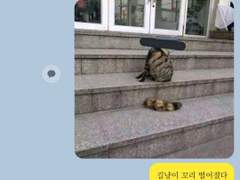 도리벤 드림 카톡 카피페4