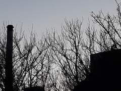 너거 집에 갔나?