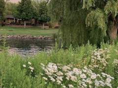 꿈과 이상의 경계