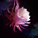 서사, 설정 정리