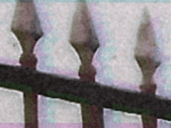 페카토르 피델리우스/성직자