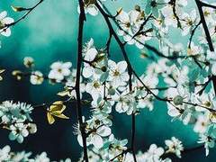 어둠이 있기에 빛 또한 존재한다