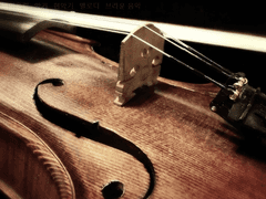 망가진 것들은 아무 소리도 내지 않는다.