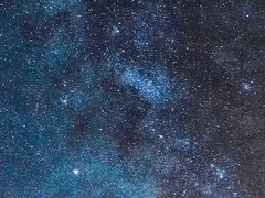 뮤라 일대기...요약