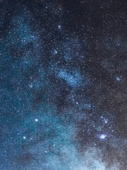 원신) 드림캐 모음집