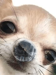 그니까 이게요..