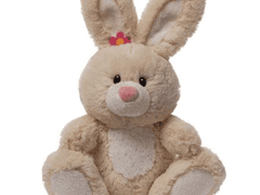 공토끼 쟁탈전 prologue