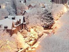 [리바이 드림] Dear, My Dear 5