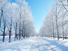 외전. 104코드의 일기