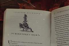 [치치차드]패트로누스 레시피의 가장 중요한 재료