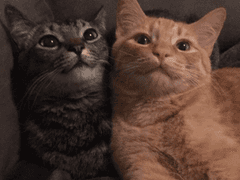 잘가요, 선생님