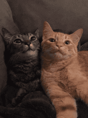 주말에는 일하지 말고 저랑 놀아주세요, 알았죠?