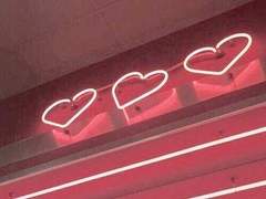 나른한 귀여움이 똑같아서 선생님이 고양이인줄 알았어요