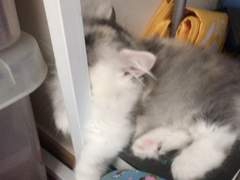 있잖아요, 전 아직도 심장이 떨려요