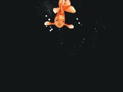 [체협] 불각각형소