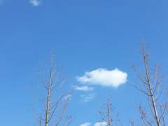 새처럼 훨훨 날아 다니련다