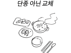 단종 아닌 교체