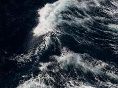 ■■■■의 그림자