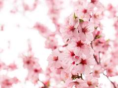 [어바등] [수정애영] 첫사랑은 원래 실패하는 법이다.