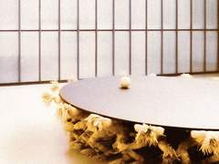 내 차고 안의 용