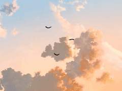 끼 좀 부리지 마시오.