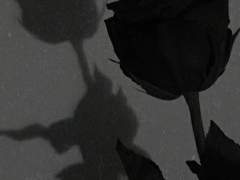 ●이상한 사람 아님○