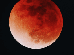 [귀멸의 칼날/귀칼] 붉은 달이 뜨는 밤