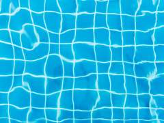 고정 타입 안내