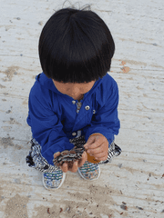 새복새복, 추도로 가는 삶도 죽음도 여행