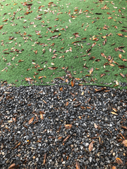 당신이 잊은 10월의 일기