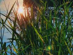 미술관 옆 경주