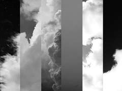 타인을 찾아 울부짖고 싶지는 않았다.