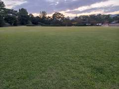 한 낮의 꿈이라도 쫓아가련다