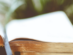 장면과 장면 사이 숨겨진 의미