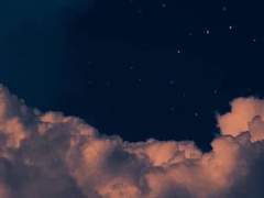 백은우 78기 4성