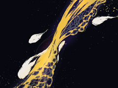 [방어계/4학년] 해랑