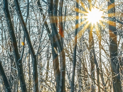 [특수강화계/4학년] 편가윤