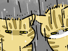 보슬비 내리던 날